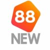NEW88 – Chơi cá cược và game bài an toàn tại NEW88
